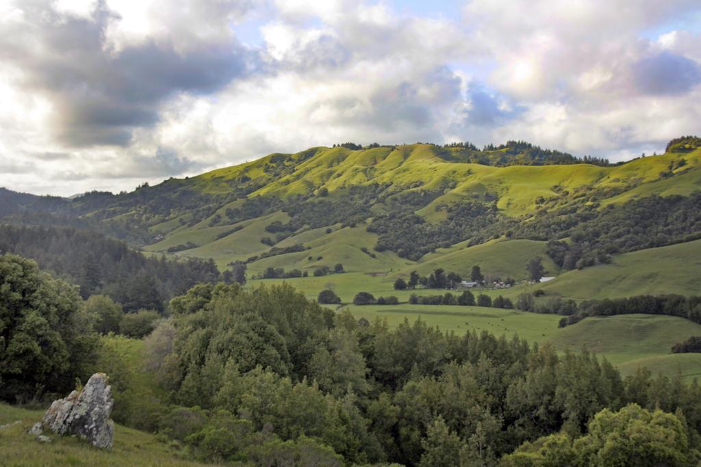 San Anselmo Inn Luaran gambar